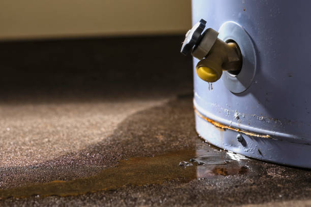 Best Ceiling water damage repair  in Pea Ridge, WV