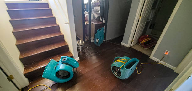 Local water damage restoration in WV