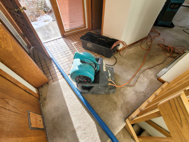Best Water damage restoration services  in Pea Ridge, WV