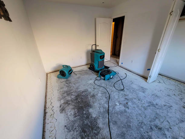 Best Residential water damage restoration  in Pea Ridge, WV