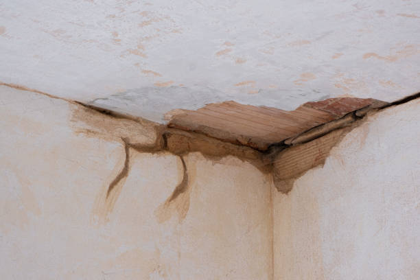 Best 24-hour water damage restoration  in Pea Ridge, WV