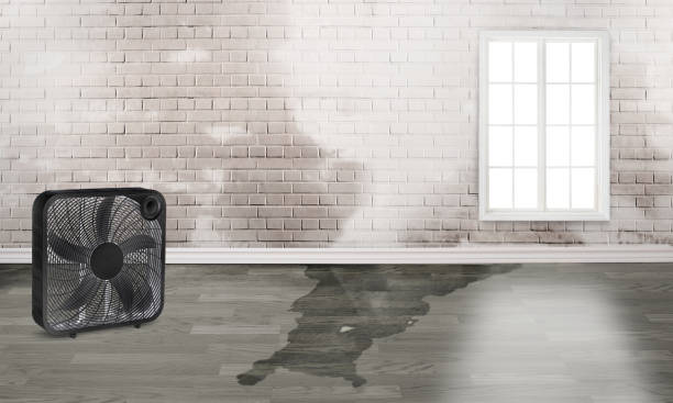 Best Water damage restoration insurance claims  in Pea Ridge, WV