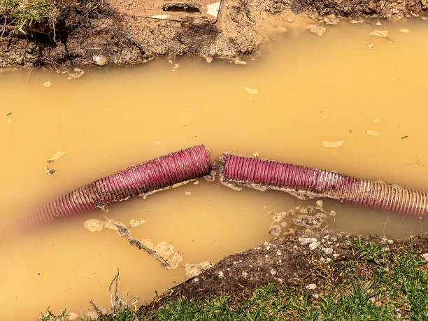 Reliable WV Water damage restoration Solutions