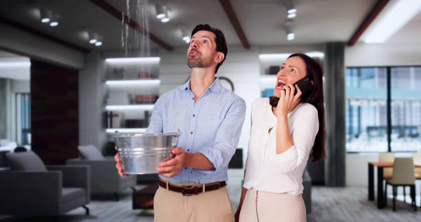 Best Flooded house restoration  in Pea Ridge, WV